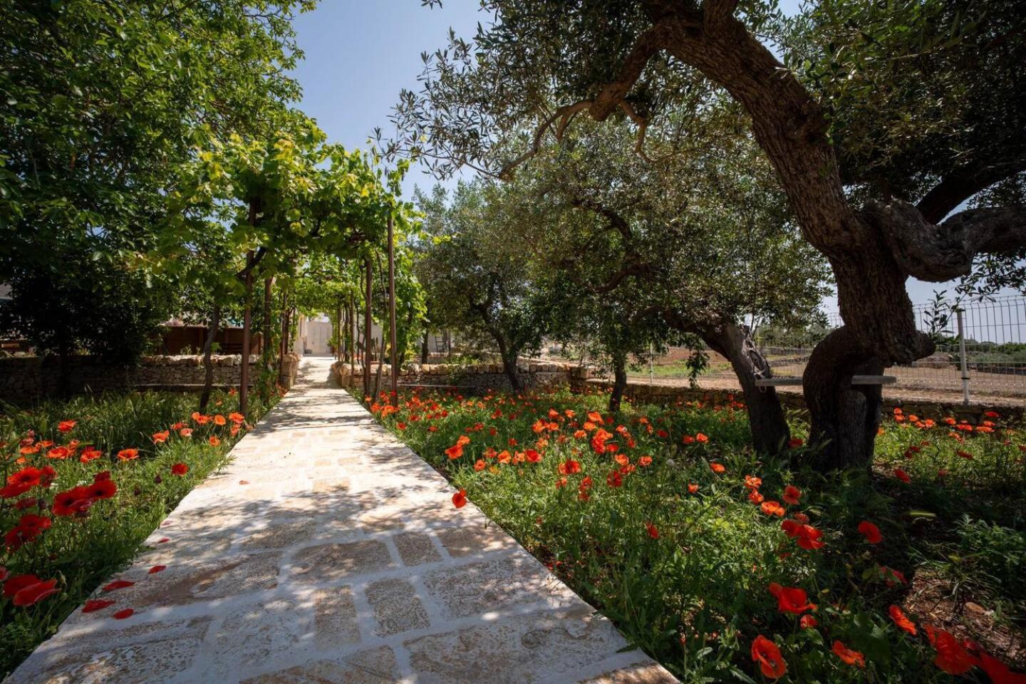 Valle D'Itria Trulli E Alcova Mikael Cisternino Exteriör bild
